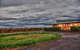 Baratto Wines - thumb 1