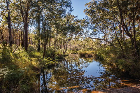 Blackdown Tableland National Park - Broome Tourism 2