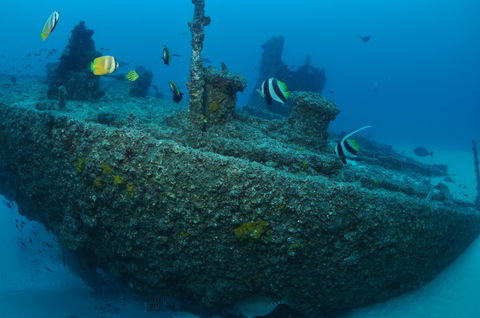 Curtin Artificial Reef Dive Site - Broome Tourism 1