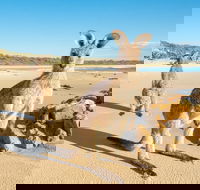 Diamond Head Beach - Broome Tourism