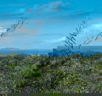Forest Walking Track Crowdy Bay National Park - Broome Tourism