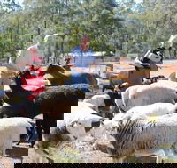 Haigslea EWE Nique Hobby Farm - Broome Tourism