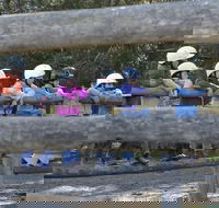 Harlow Park Horse Riding - Broome Tourism