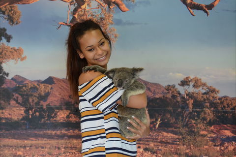 Kuranda Koala Gardens - Broome Tourism 0