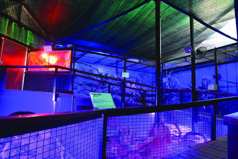 Kuranda Koala Gardens - Broome Tourism 2