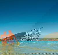 Llewellyn Dive Site - Broome Tourism