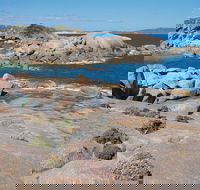 Nanarup Beach - Broome Tourism