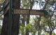 Nattai Gorge Lookout - thumb 2