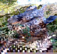 Perth Zoo - Broome Tourism