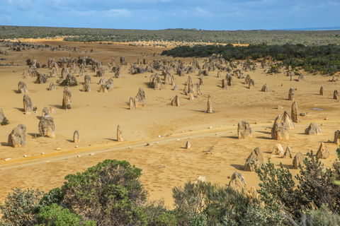 Pinnacles - Broome Tourism 1