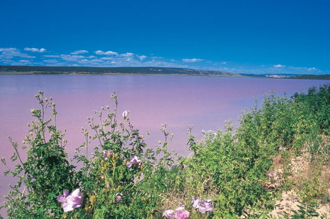Port Gregory - Broome Tourism 0
