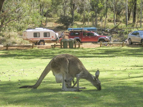 Serpentine - Broome Tourism 1