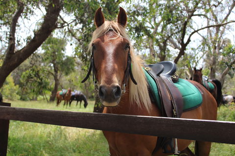 The Ranch - Broome Tourism 2