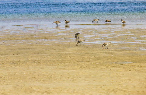 Towra Beach - Broome Tourism 0