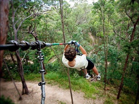 TreeTop Challenge - Broome Tourism 0