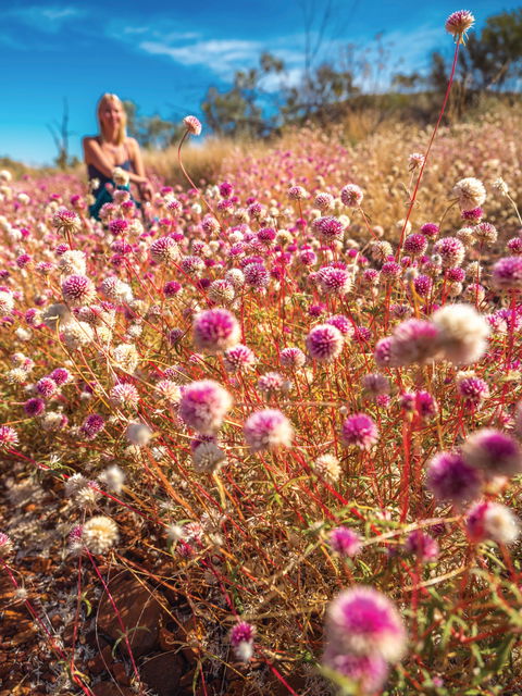 Wineries And Wildflowers - Broome Tourism 0