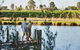Wineries And Wildflowers - thumb 1