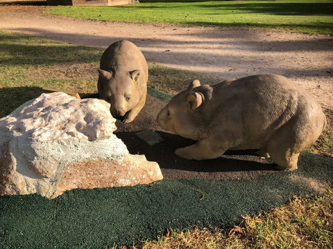 Wombat Statues, Moonta - Broome Tourism 0