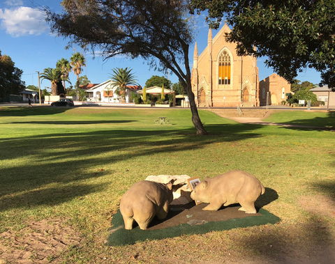 Wombat Statues, Moonta - Broome Tourism 2