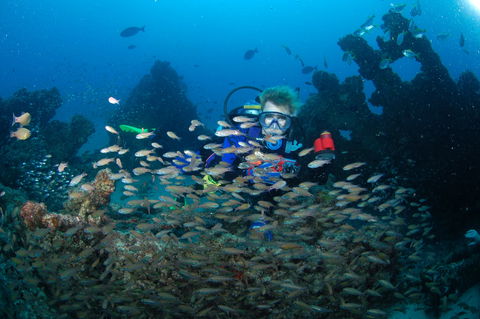 Aarhus Dive Site - Broome Tourism 0