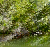 Berry Springs Nature Park - Broome Tourism