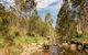 Brindabella National Park - thumb 2