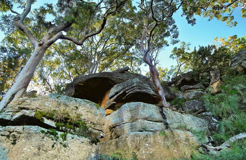 Burrawang Reach Picnic Area - Broome Tourism 0