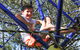 City Park - thumb 0