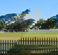 Cootamundra Cricketing Exploration - Broome Tourism