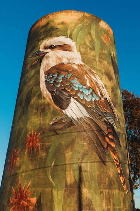 Deniliquin Water Tower Mural - Broome Tourism 0