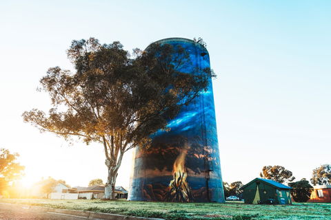 Deniliquin Water Tower Mural - Broome Tourism 1