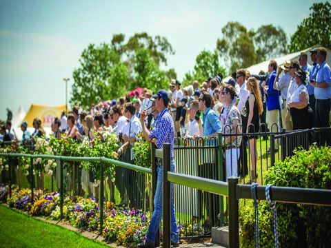 Dubbo Turf Club - Open With Races But No Spectators - Broome Tourism 1