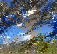 Euroa Arboretum - Broome Tourism