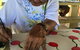 Euraba Paper Aboriginal Corporation - thumb 0