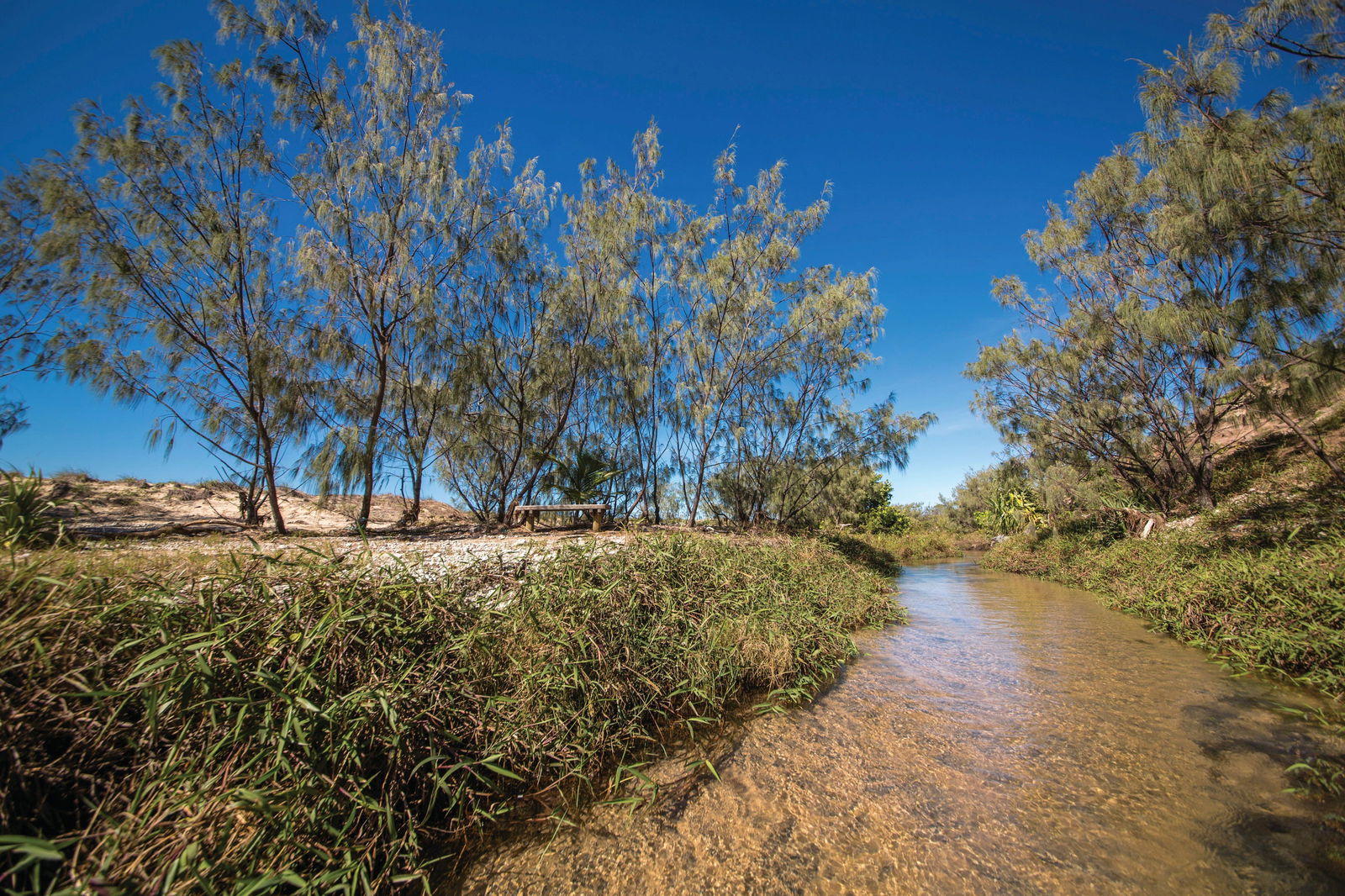 Farnborough QLD Broome Tourism