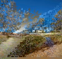 Freshwater Creek Track Byfield National Park - Broome Tourism