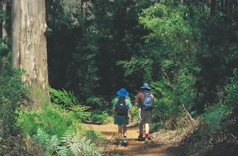 Gloucester National Park - Broome Tourism 0