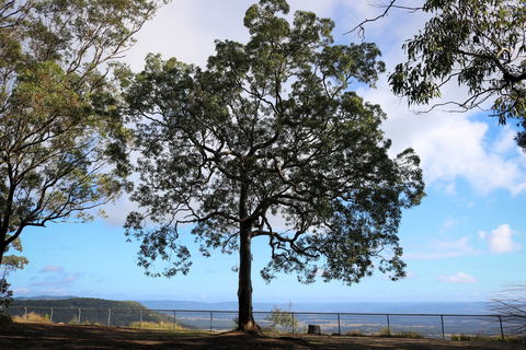 Heaton State Forest - Watagan Mountains - Broome Tourism 2