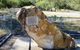 John Oxley Monument - thumb 0
