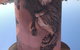 Kadina Water Tower Mural - thumb 0