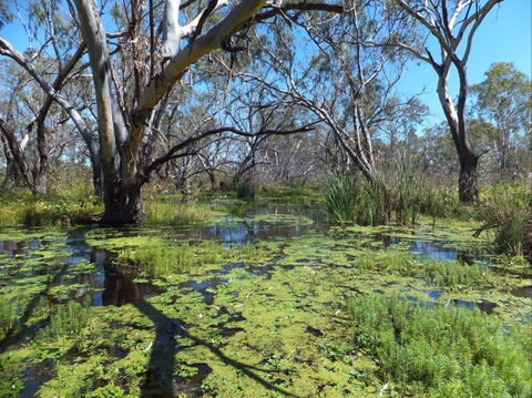 Macquarie Valley Trails - Broome Tourism 0