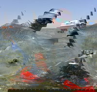 Ningaloo Fly Fishing - Broome Tourism