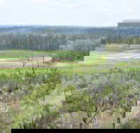 Princess Hills Girringun National Park - Broome Tourism