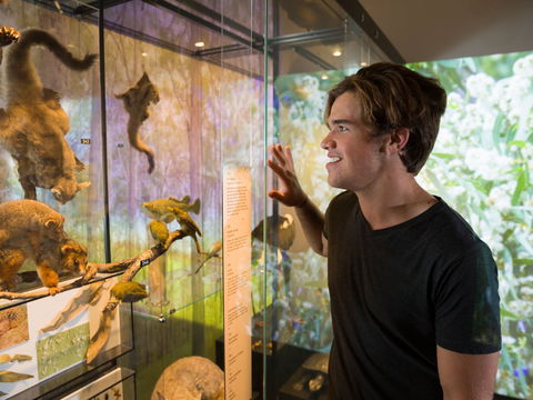 Queensland Museum - Broome Tourism 0