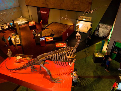 Queensland Museum - Broome Tourism 2