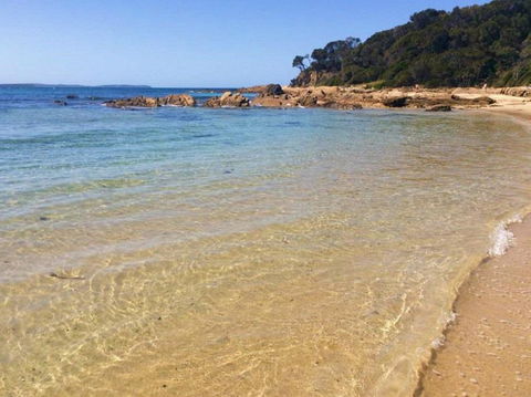 Shelly Beach Picnic Area - Moruya Heads - Broome Tourism 0