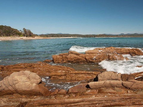 Shelly Beach Picnic Area - Moruya Heads - Broome Tourism 1