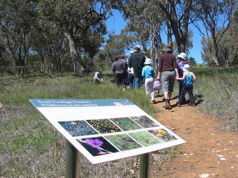South Gundagai Woodlands Walk - Broome Tourism 0