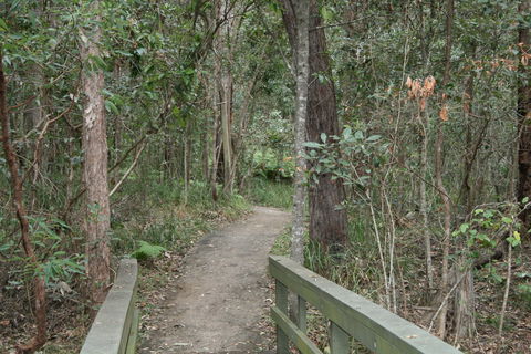 Springwood Conservation Park - Broome Tourism 0