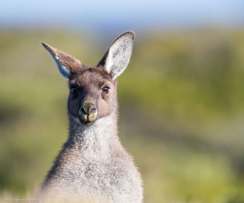 The Sole Walk At Hillocks Drive - Broome Tourism 1